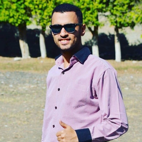 Alaa Ahmed Hussien’s avatar