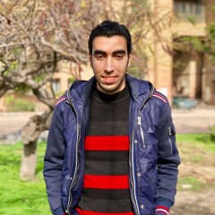 Ahmed Ibrahim Genedy