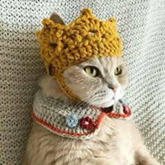 Snow Meow