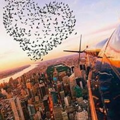 ايمى مهدى