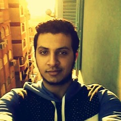 محمد الحوشى