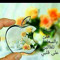 Alaa Hashim