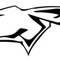 RMSjackrabbits