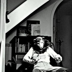 Angelina Guinet-belem