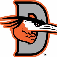Delmarva Shorebirds