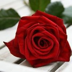 Azza Khatb