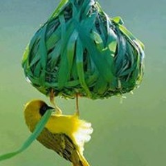 Billal Hossain
