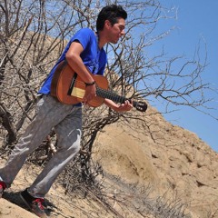 Luis Torrealva y los Angeles Malditos