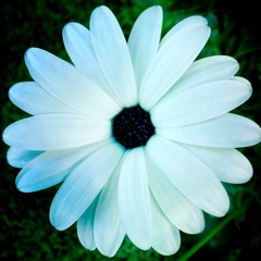 SarahLorienPhotography