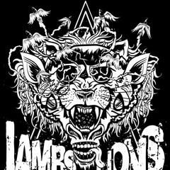Lambs to Lions