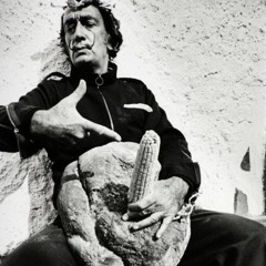✵ SALVADOR DALI ✵