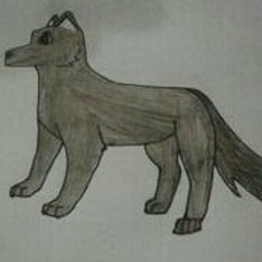 Woof