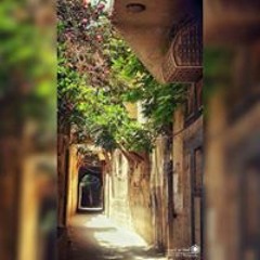 سالم