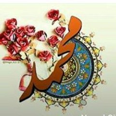 rasha elsayed