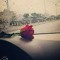 منال الربايعة