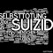 SUiiZiiD [F*CKtheC0PZ]