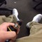SpaceCadet420