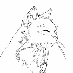 hedon the cat
