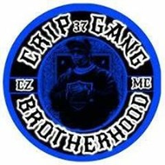 BRUTHA T