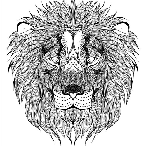 Lion Trap’s avatar