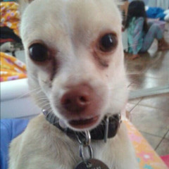 Leslieee Castanedaaa