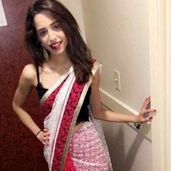 sims_saini2