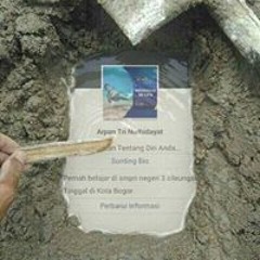 Arpan Tri Nurhidayat