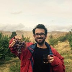 Navid Jaensch