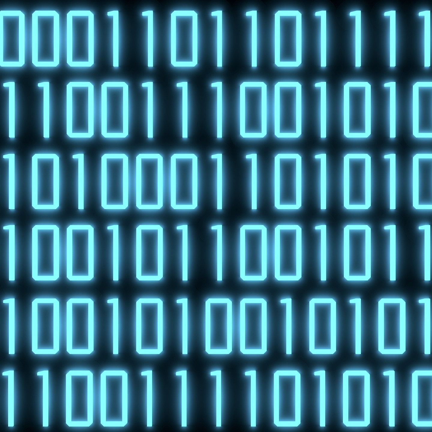 The Binary