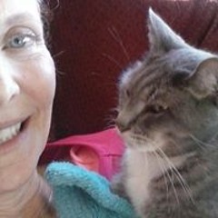 Mary Storm VerMeulen