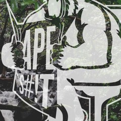APE S#!T RECORDS