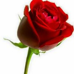 ေက်ာ္ ေက်ာ္
