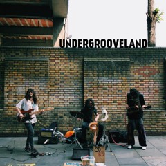 Undergrooveland