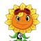 Solar flare