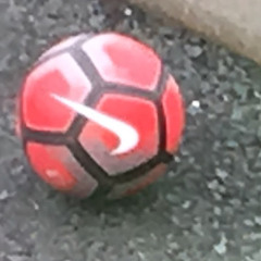 footballfan 2006