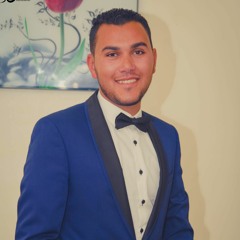Mohamed Amer Elhosiney