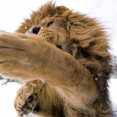 Musix from DeeJay Dan