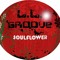 L.L.Groove