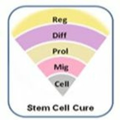 Stem Cell Cure