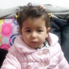 Amira