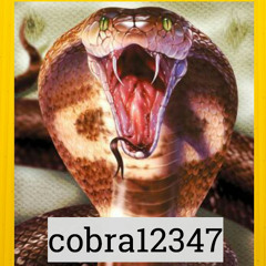 cobra 12347