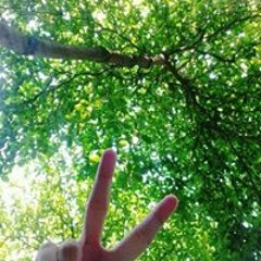 Trú Cá Nóc Nóng Bỏng