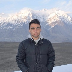 Ali Hassnain