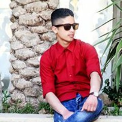 hesham shatnawo