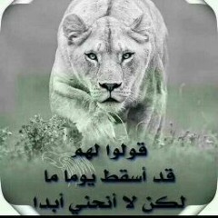 ابو جهاد ال سيف