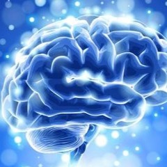 Mr BLU Brain