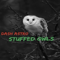 Dash Astro