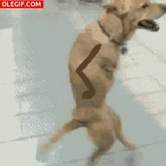 Tomas Barra Cubillos