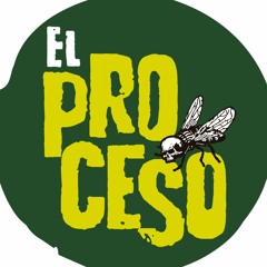 El Proceso