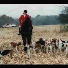 ヅ 𝕂𝕀ℝ𝔸 ヅ